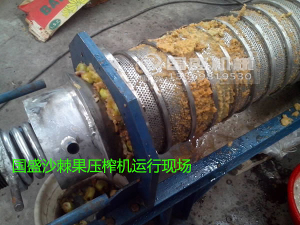 水果压榨机汁液提取 水果压榨机汁液提取