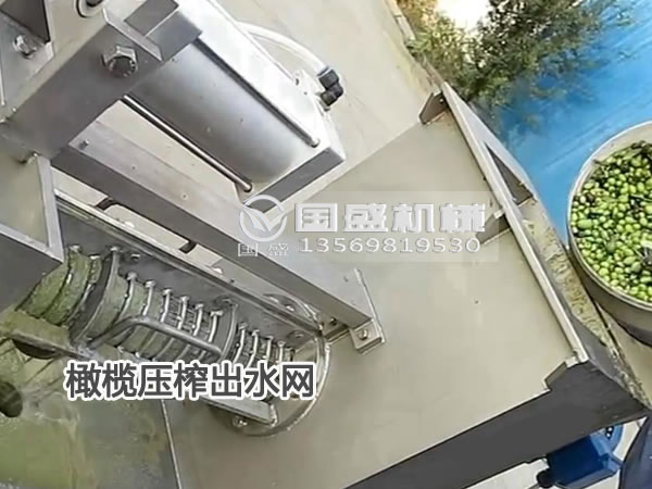 草莓污视频在线橄榄脱水机
