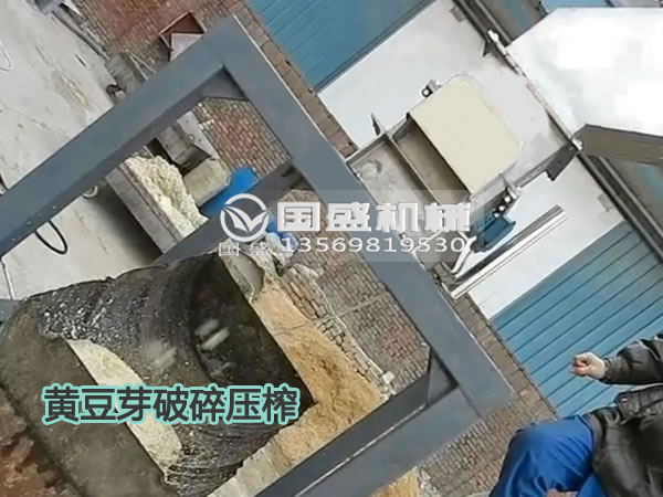 草莓污视频在线黄豆芽固液分离机