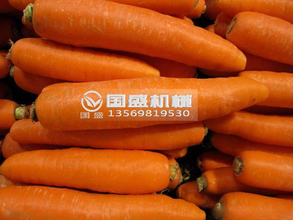 草莓污视频在线胡萝卜脱水挤压机 草莓污视频在线胡萝卜脱水挤压机