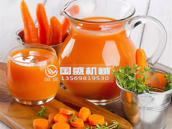 脱水红萝卜丝压榨机 脱水红萝卜丝压榨机