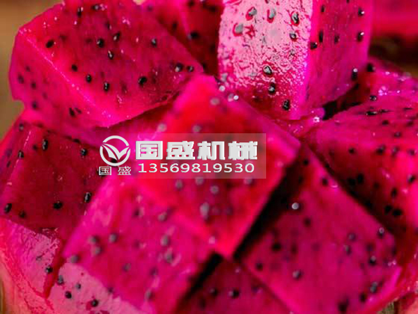 草莓污视频在线火龙果挤压脱水设备