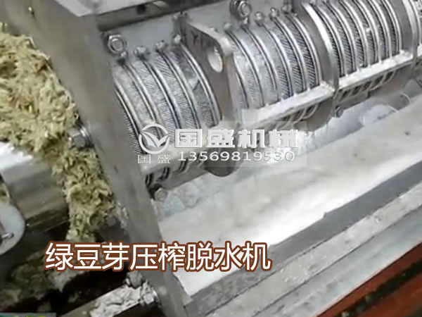 草莓污视频在线绿豆芽压榨机