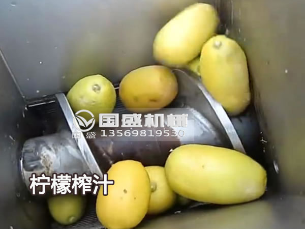 草莓污视频在线新款大型柠檬榨汁机 草莓污视频在线新款大型柠檬榨汁机