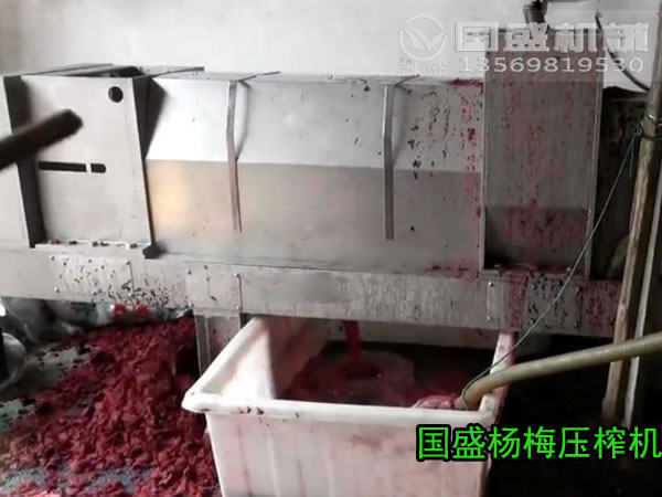 水果压榨机多少钱 水果压榨机多少钱