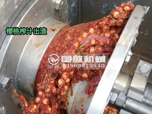 草莓污视频在线樱桃螺旋压榨脱水机 草莓污视频在线樱桃螺旋压榨脱水机